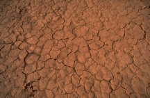 earth